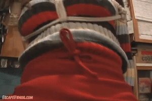 www.escapevideos.com - Audrina Ball Gagged thumbnail